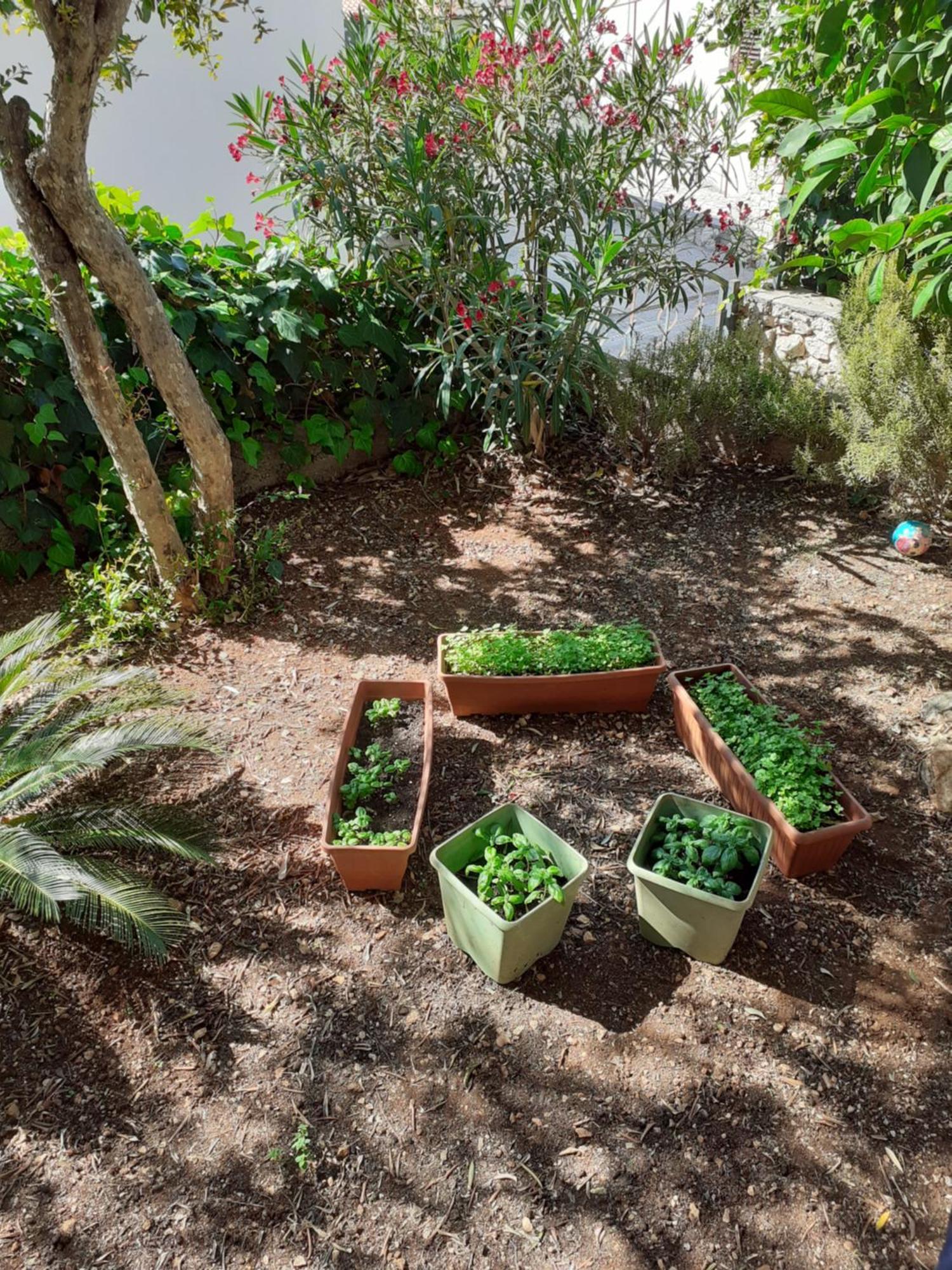 Apartman Gordana Trogir Exteriér fotografie